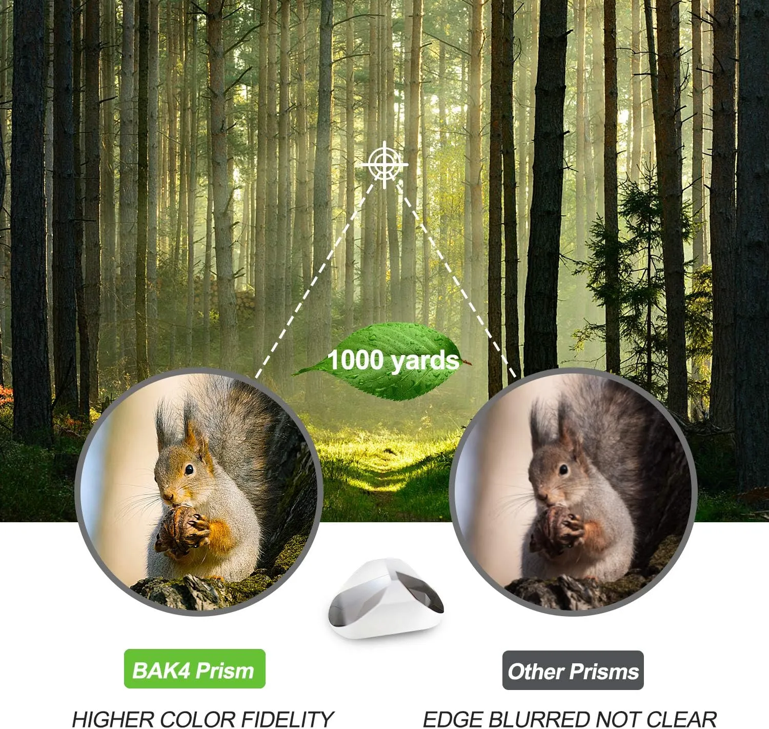 10 x 50 Binoculars for Adults, Powerful Binoculars for Bird Watching, Multi-Coated Optics Durable Full-Size Clear Binocular for Travel Sightseeing Outdoor Sports Games and Concerts