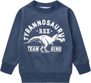 Akyzic Boy Dinosaur Sweatshirts Toddler Long Sleeve Cotton Space Pullover Cartoon T-Shirts Sport Top Tee For Kids 2-7T