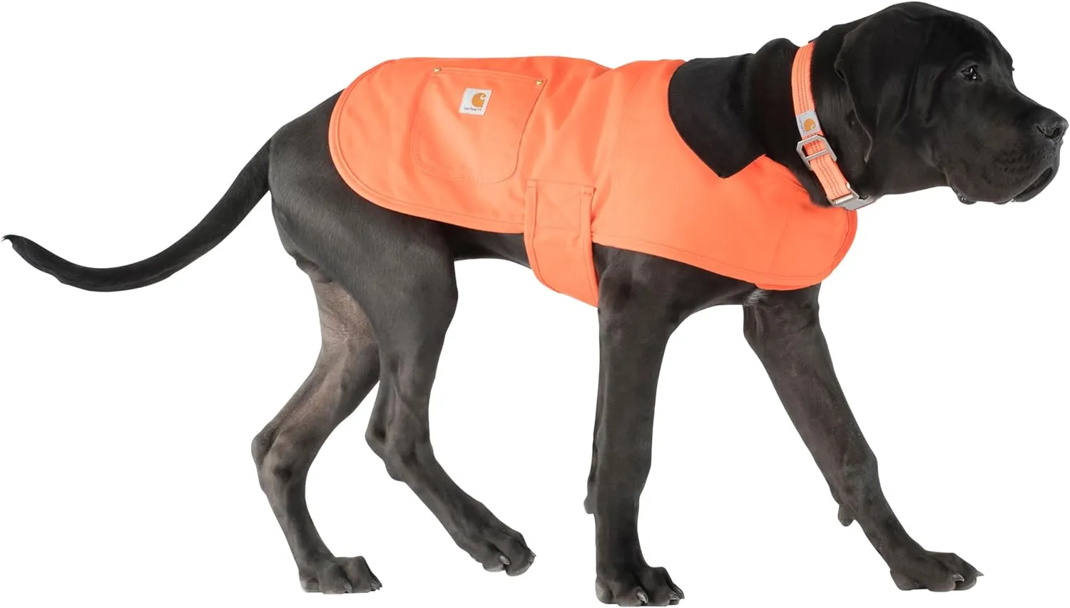 Carhartt Firm Duck Insulated Dog Chore Coat, Durable Weather Resistant Coat for Cold and Windy Conditions, Contains PFAS (Hunter Orange), Small