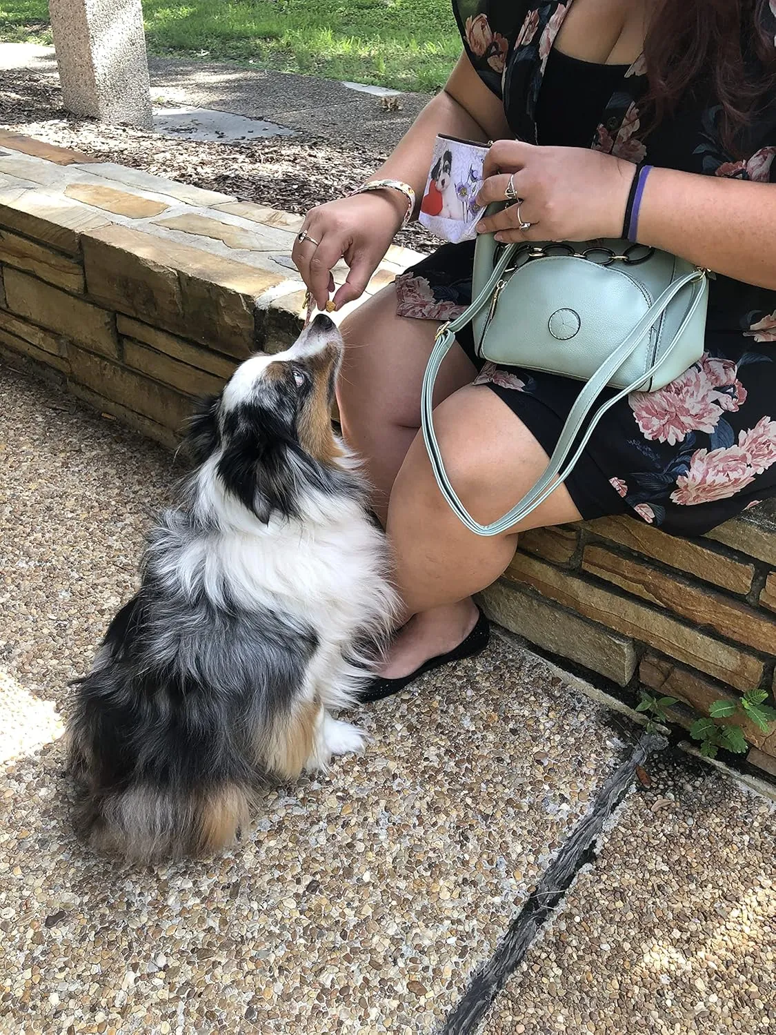 Dog Walking Bag - Poop Bag Dispenser - Dog Treat Bag - Hand Free Wear 3 Ways