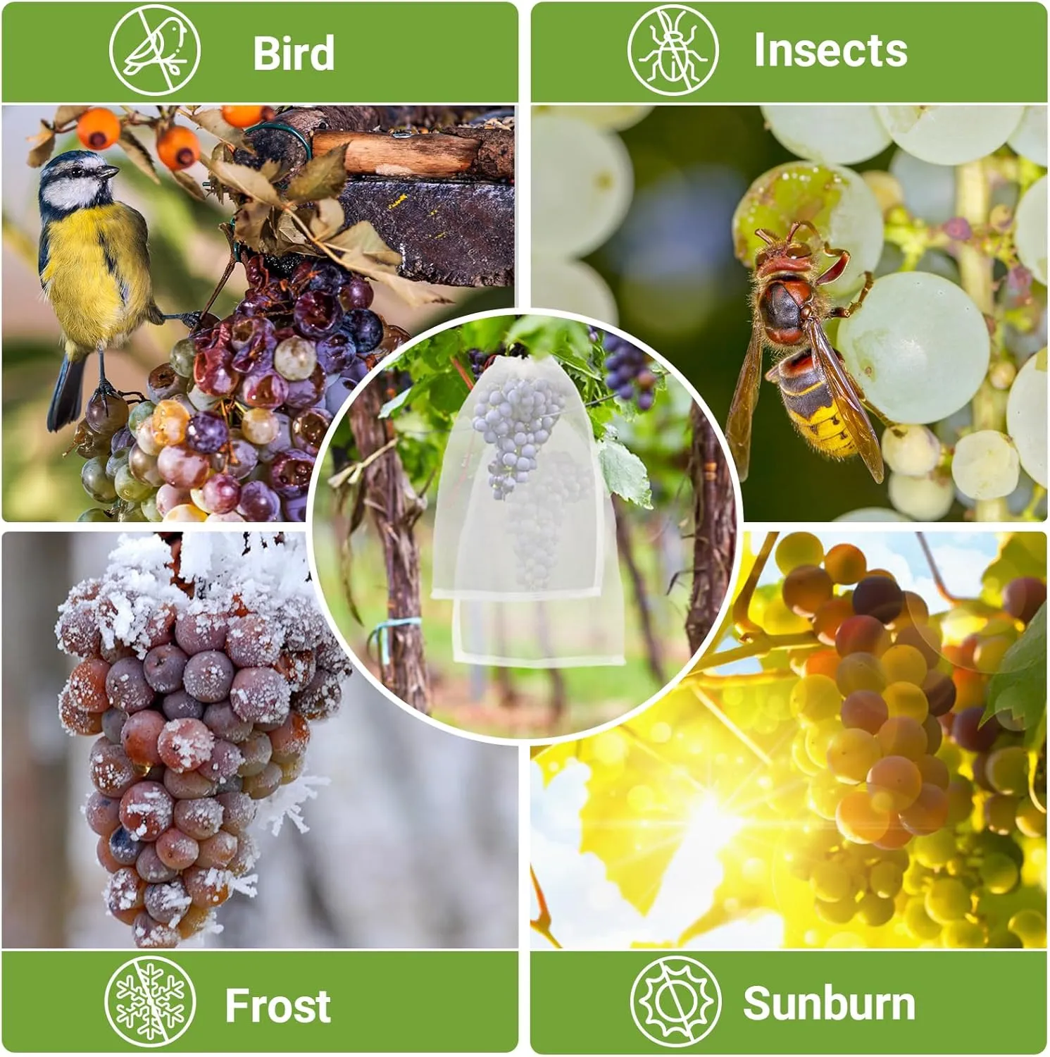 Fruit Protection Bags for Trees - 50 PCS 18x12 Inch Garden Insect Netting With Drawstrings, Mesh Bags Protect Plants, Tomatoes, Apples, Peaches From Bugs and Birds