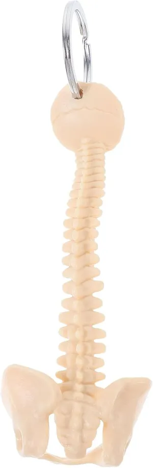 Human Spine Keychain Novelty Wallet Keychain Biology Keyring, Classroom Study Tools Key Ring Spine Keyring Keychain Pendant Spine Chain for Bags Car Tote