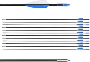 LWANO 31" Training Arrows-Archery Practice Target Arrows for Kids Youth or Beginners with Durable Shaft on Recurve Bow Compound Bow and Longbow