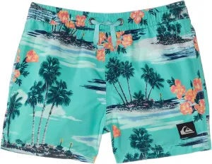 Quiksilver Boys' Everyday Mix Volley (Little Kids)