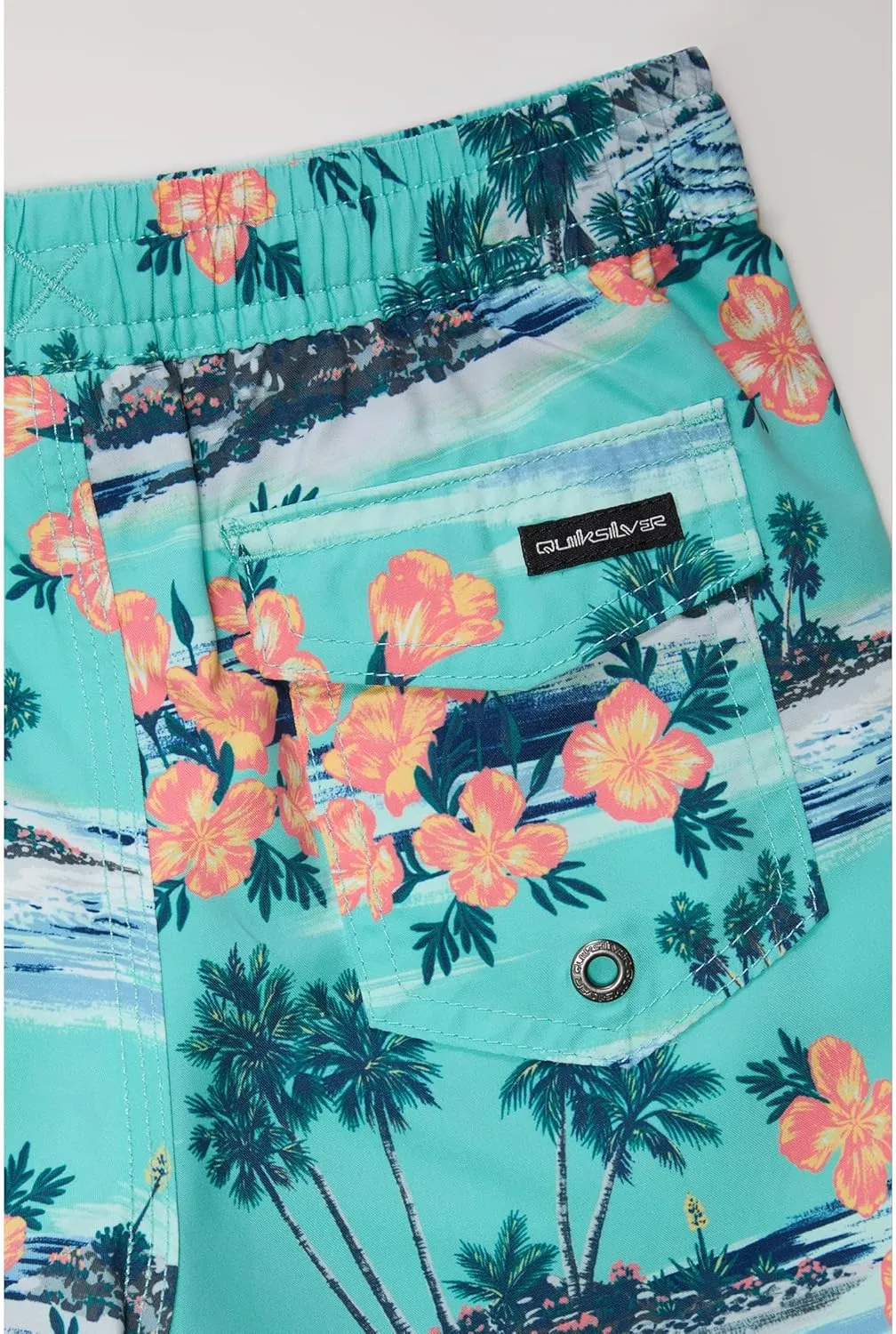 Quiksilver Boys' Everyday Mix Volley (Little Kids)