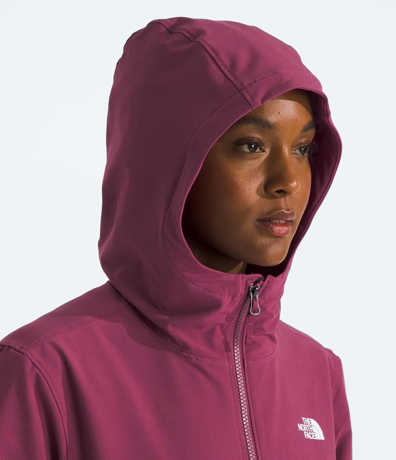 THE NORTH FACE Women's Shelbe Raschel Fleece Hooded Jacket (Standard and Plus Size)