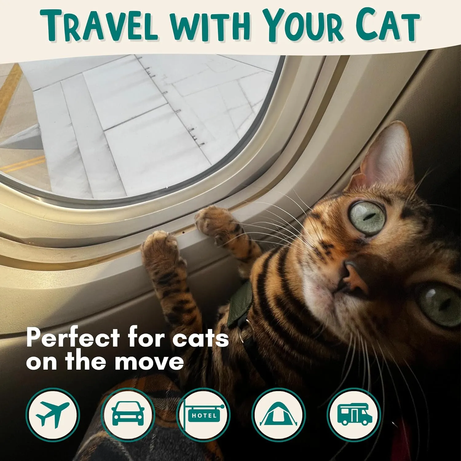 Travel Litter Box Kit for Cats (3in1) by OutdoorBengal – 1 Litter Tray   1 Litter Bag   1 Small Scooper (Leak-Proof & Odor-Resistant, Portable & Collapsible) Ideal for Car, Plane, Camping & Hotels